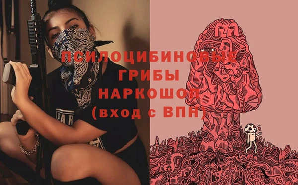 эйфоретик Беломорск