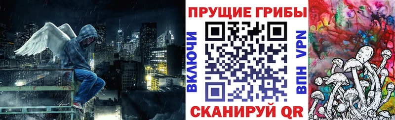 Галлюциногенные грибы мицелий  Дигора 